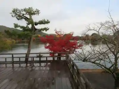 大覚寺(京都府)