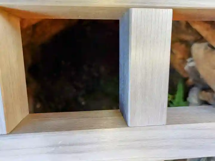 井伊谷宮(静岡県)