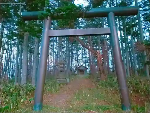 星野稲荷神社の鳥居