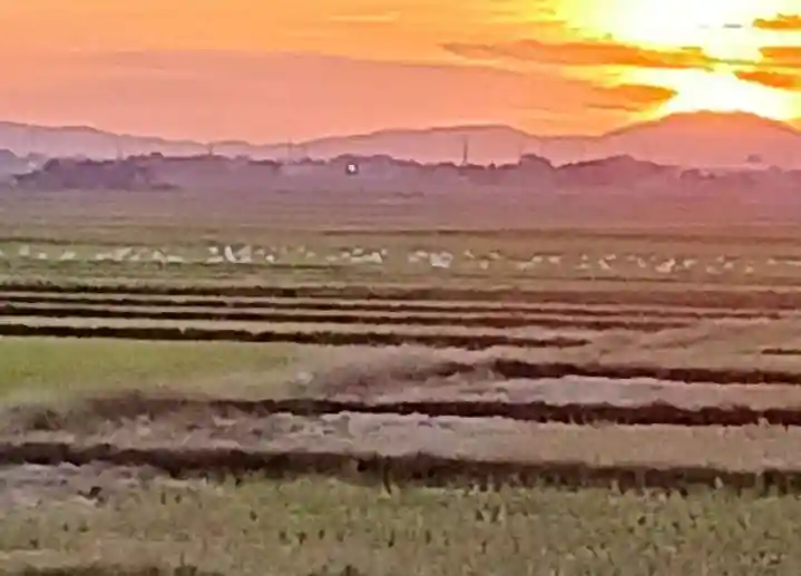 白狐山光星寺(山形県)