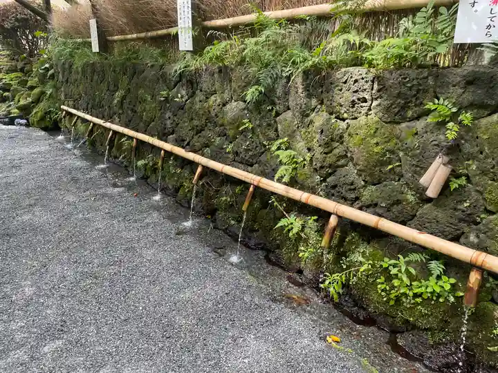 富士山本宮浅間大社(静岡県)