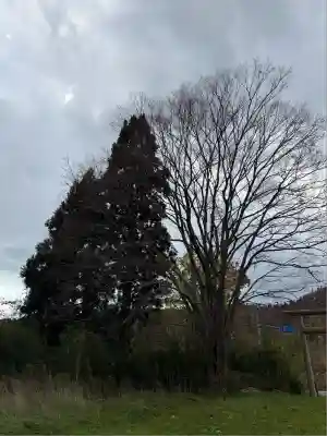 市ノ渡稲荷神社(北海道)
