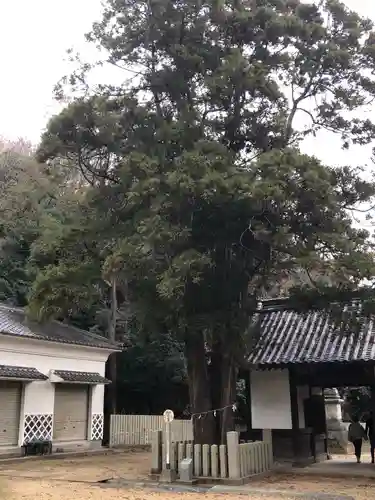 飯神社の建物その他