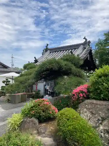 多聞寺の庭園