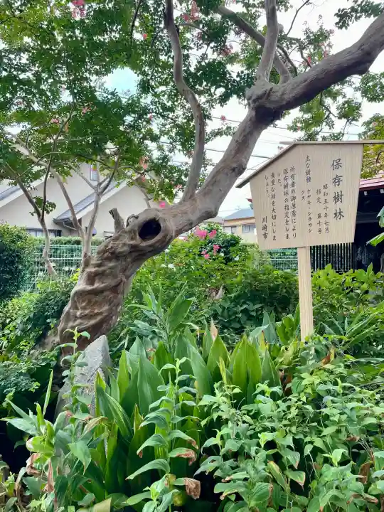 長福寺(神奈川県)