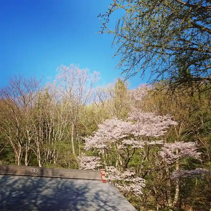 壽徳寺 じゅとくじの自然