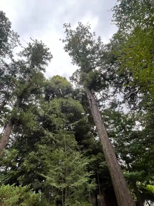甲斐國一宮 浅間神社(山梨県)