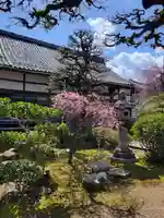 本境寺(福井県)