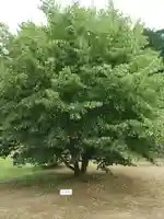 円福寺のその他建物