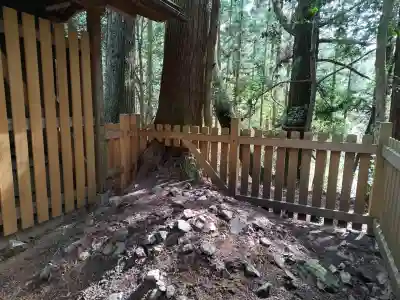 首塚大明神の{uncategorized: "未分類", other: "その他", undefined: "問題あり", building: "その他建物", grave: "お墓", sacred_gate: "鳥居", guardian: "狛犬", statue: "像", buddha: "仏像", history: "歴史", nature: "自然", garden: "庭園", animal: "動物", pagoda: "塔", temizu: "手水舎", mountain_gate: "山門・神門", sanctuary: "本殿・本堂", subordinate: "末社・摂社", art: "芸術", scenery: "景色", jizo: "地蔵", ema: "絵馬", goshuin: "御朱印", omikuji: "おみくじ", items: "授与品その他", amulet: "お守り", goshuincho: "御朱印帳", eats: "食事", festival: "お祭り", votive_dance: "神楽", shichigosan: "七五三参", wedding: "結婚式", experience: "体験その他", initially: "初詣", around: "周辺", anti_infection: "感染症対策"}