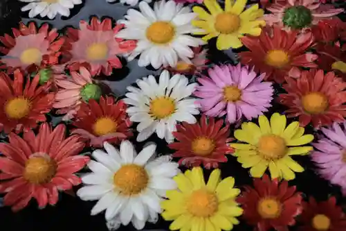 大鏑神社の手水舎