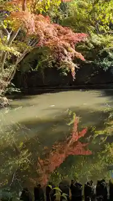赤山禅院(京都府)