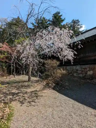 北海道神宮の自然