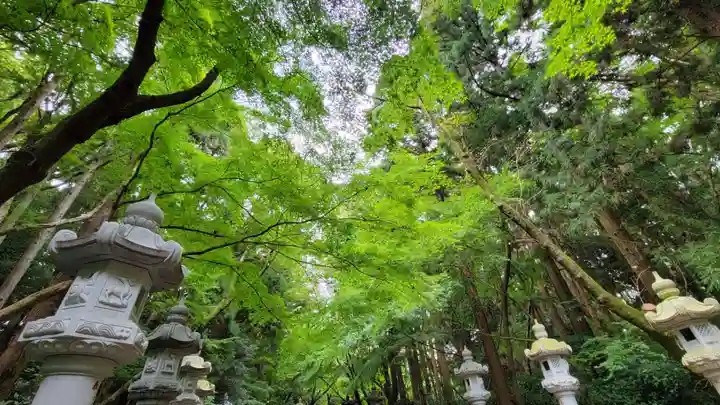 香取神宮の自然