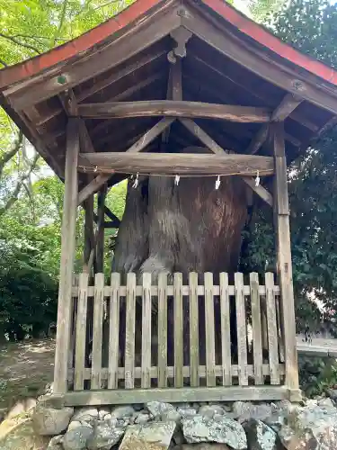 伊居太神社(大阪府)