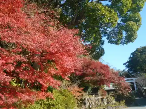 鎌倉宮の景色