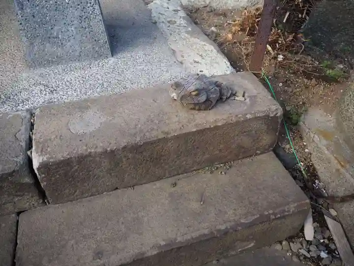 諏訪神社のその他建物