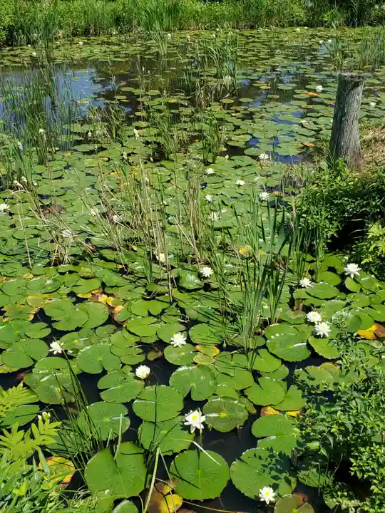陽林寺(福島県)