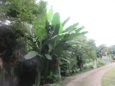遍照寺(埼玉県)