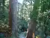 飛瀧神社(熊野那智大社別宮)(和歌山県)