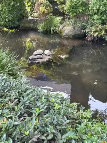 根津神社(東京都)
