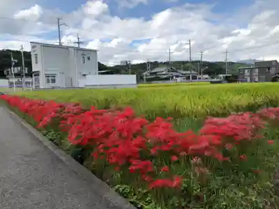 新屋坐天照御魂神社(大阪府)