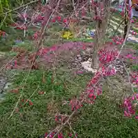 寿量山 速成寺の庭園