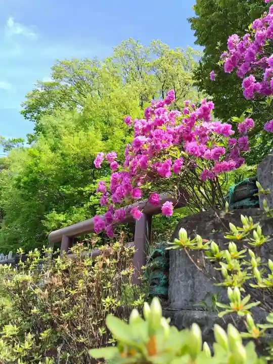 厚別神社(北海道)