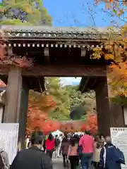 禅林寺（永観堂）(京都府)