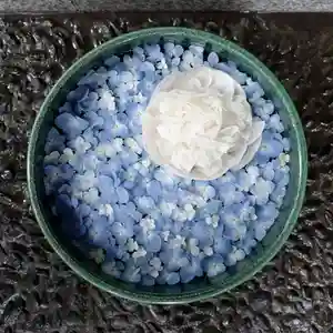 帯廣神社の手水舎(2025年07月02日(水) 14時08分12秒投稿)