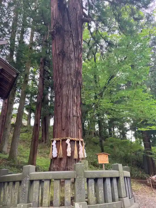 諏訪大社下社春宮(長野県)