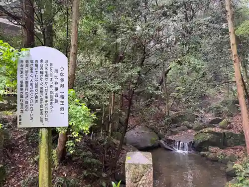 大水上神社(香川県)