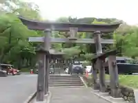 高尾山麓氷川神社の鳥居