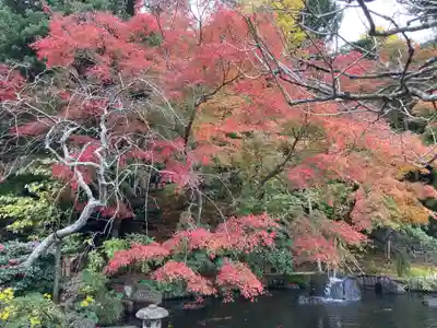 長谷寺(神奈川県)