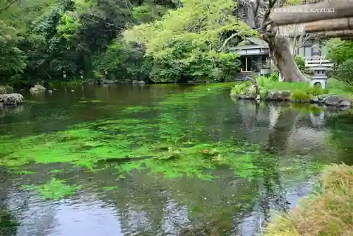 富士山本宮浅間大社の庭園