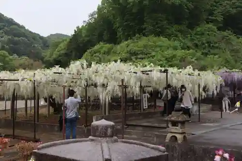 長泉寺の庭園