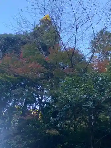 財賀寺(愛知県)