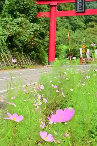 高龍神社(新潟県)