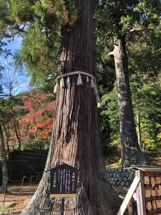 日枝神社(静岡県)