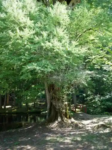 雲洞庵の庭園