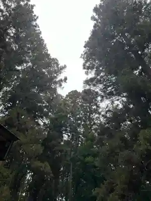 大宮温泉神社(栃木県)