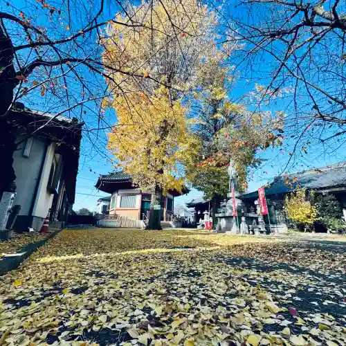 新光寺(埼玉県)