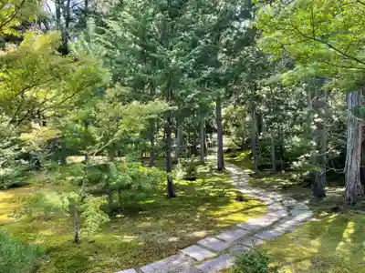 西芳寺(京都府)