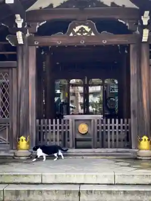 白金氷川神社(東京都)