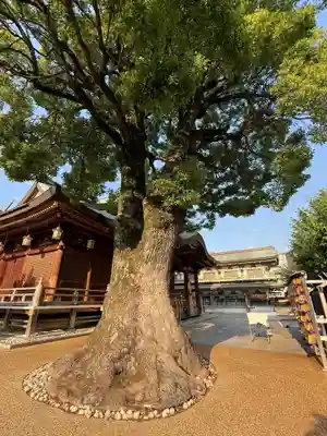 湯島天満宮(東京都)