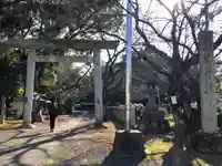 酒見神社の鳥居