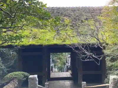 杉本寺の山門・神門