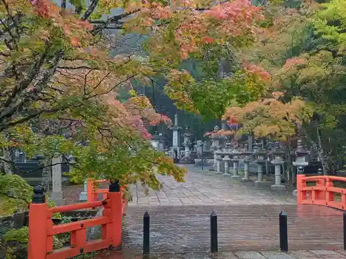 高野山金剛峯寺奥の院(和歌山県)