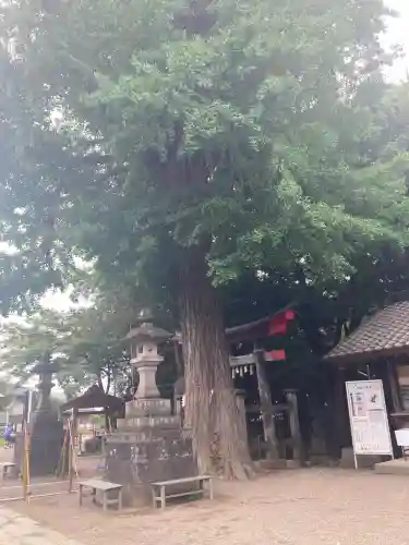 下総国三山　二宮神社(千葉県)