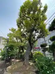 粟島神社(東京都)